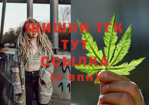 гашик Аркадак
