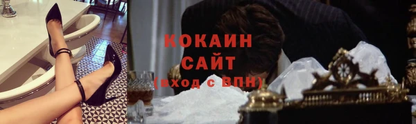 гашик Аркадак